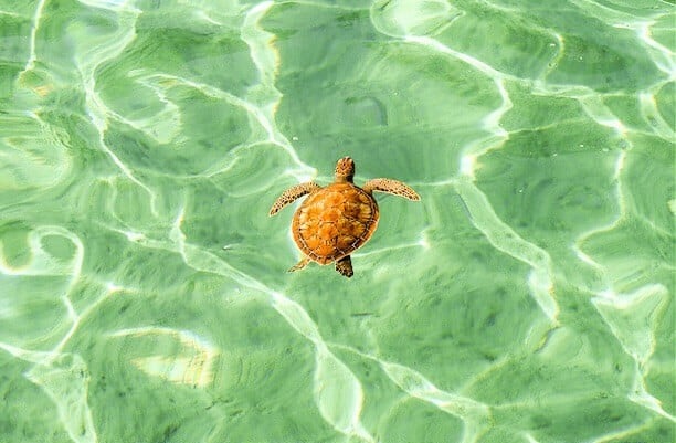 تشيرالي ... جوهرة تركيا المخفية 3