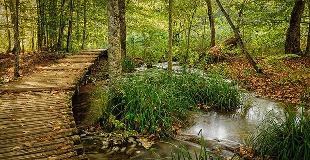 7 حاجات لازم تعرفها عن حديقة بحيرات بليتفيتسا Plitvice Lakes بكرواتيا 10 7 حاجات لازم تعرفها عن حديقة بحيرات بليتفيتسا Plitvice Lakes بكرواتيا 5