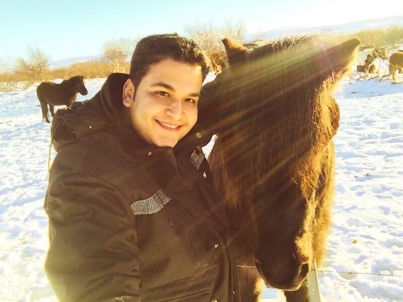 أرض الجليد و النار ... 10 أسباب تخليك لازم تزور آيسلندا 18 الحصان الأيسلندي