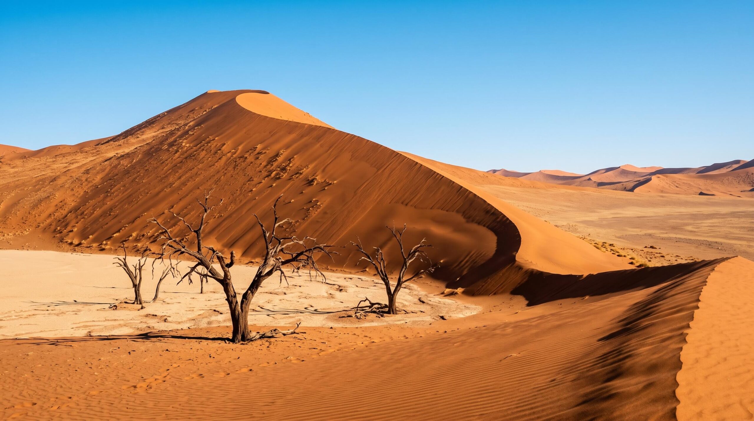 كثبان سوسوسفلي الرملية الحمراء في صحراء ناميب بناميبيا